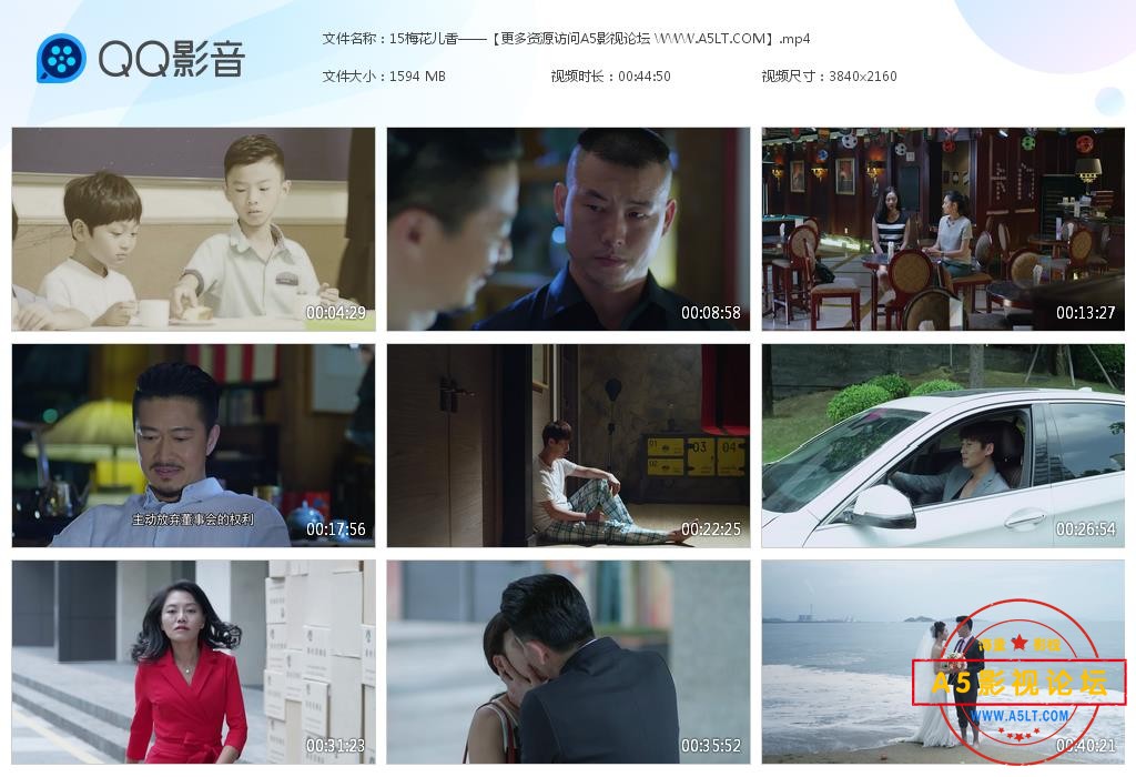 电视剧梅花儿香网盘下载