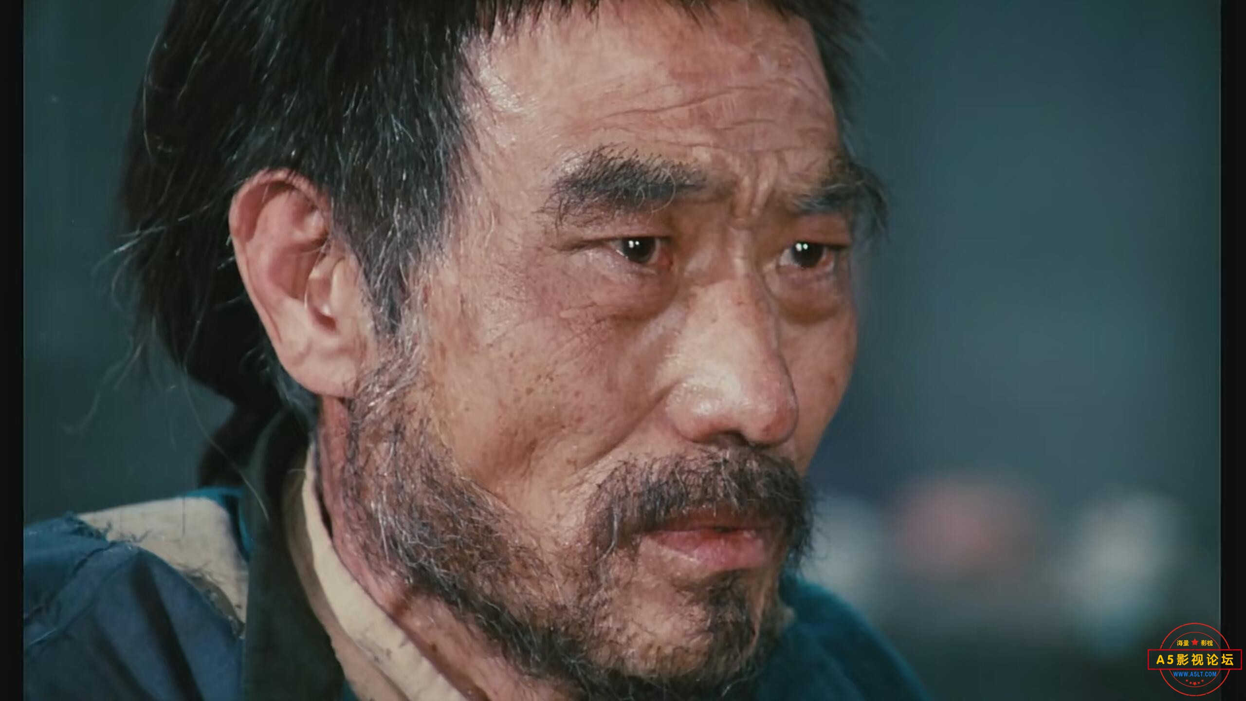 QQ图片20230616083042.jpg