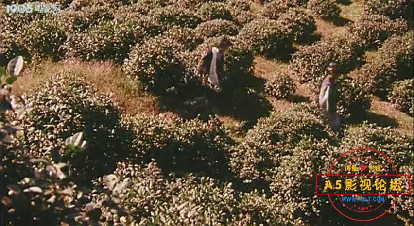 海狮敢死队 1990.mp4_20230608_113630281.jpg