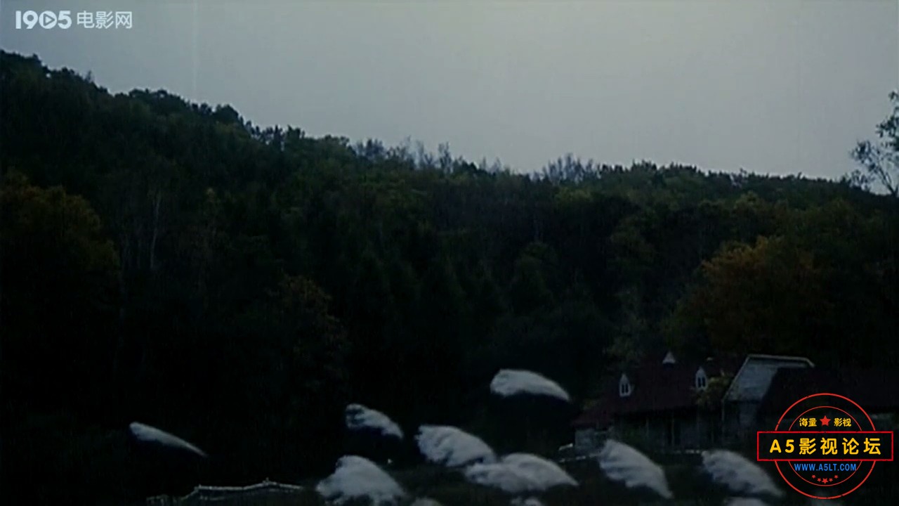 p2557421624.jpg
