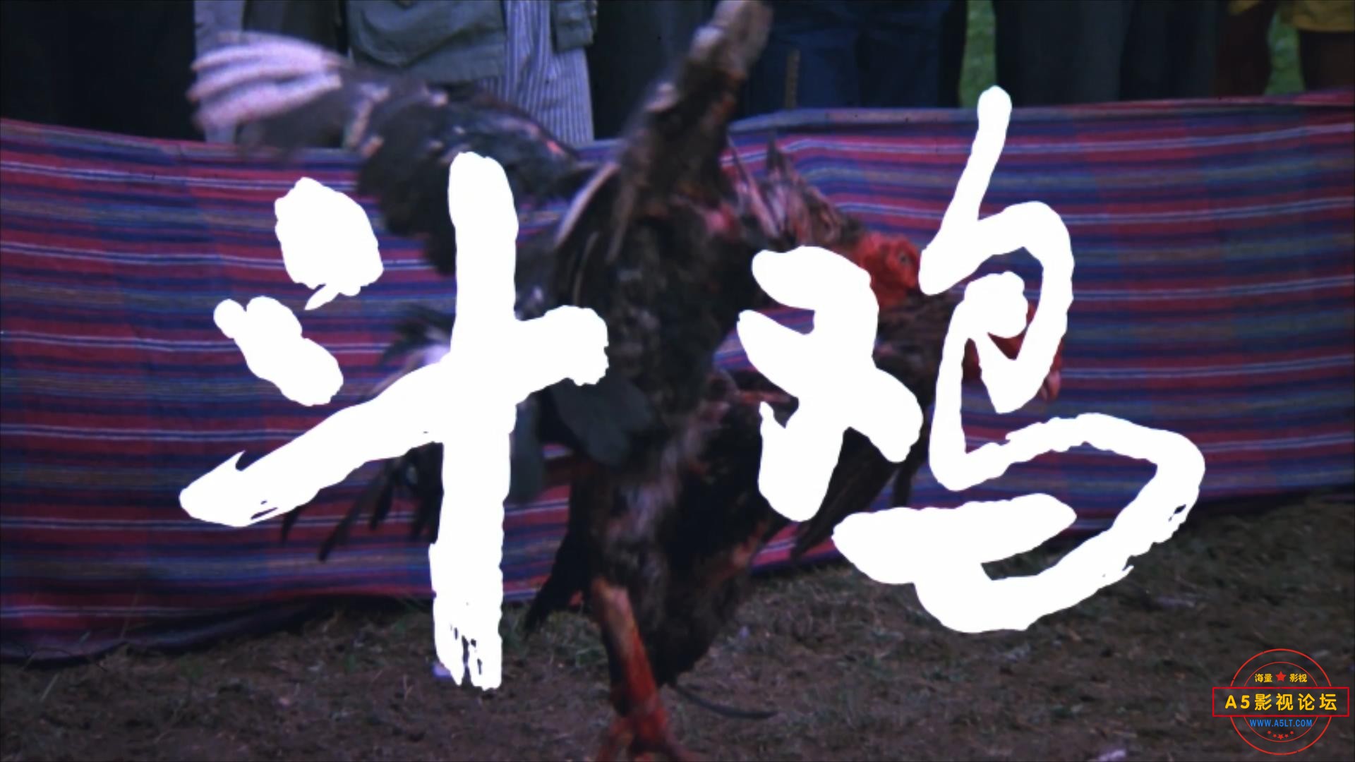 斗鸡（1990）.mp4_20230613_090023493.jpg