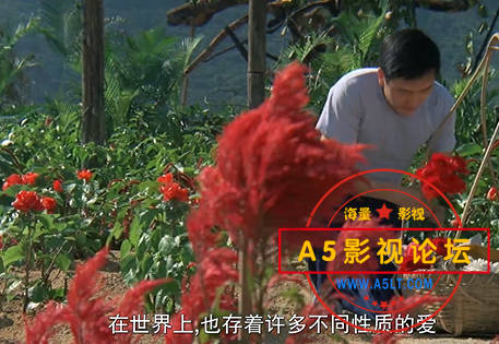 搜狗截图20230621105409.png