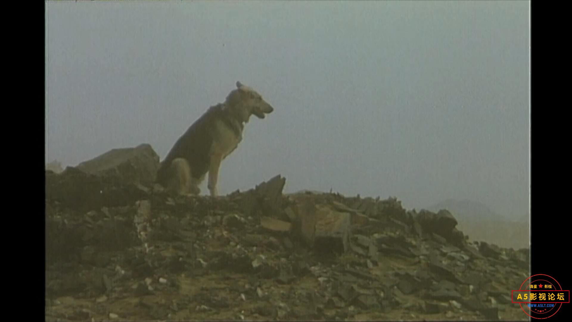 天边有一簇圣火（1990）.mp4_20230624_110037473.jpg