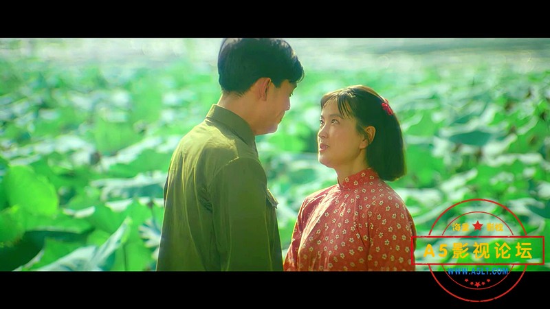 芙蓉镇下载,