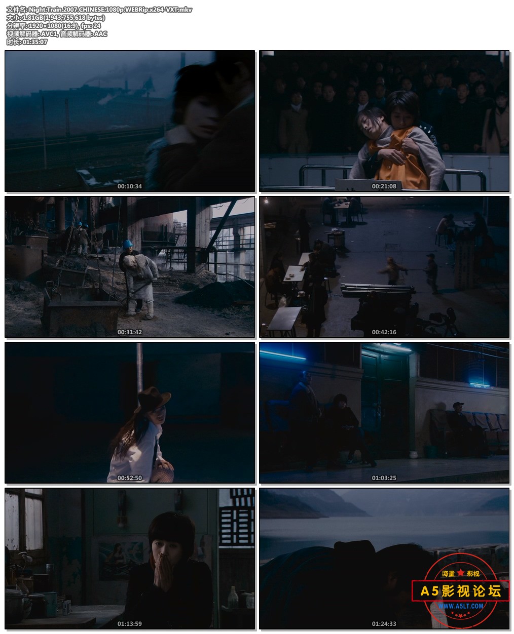 Night.Train.2007.CHINESE.1080p.WEBRip.x264-VXT.mkv.jpg