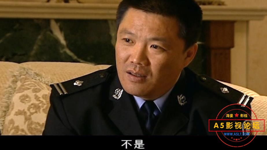 电视剧钻石王老五的艰难爱情网盘下载