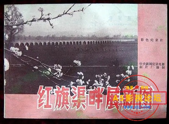 p2395041747.webp.jpg