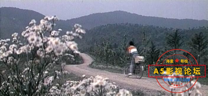 豆蔻年华 (1989).mkv_20230516_102508896.jpg