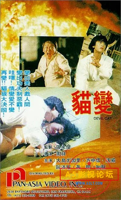 封面.jpg