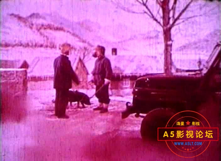 雁鸣湖畔 (1976).avi_20230715_174529463.jpg