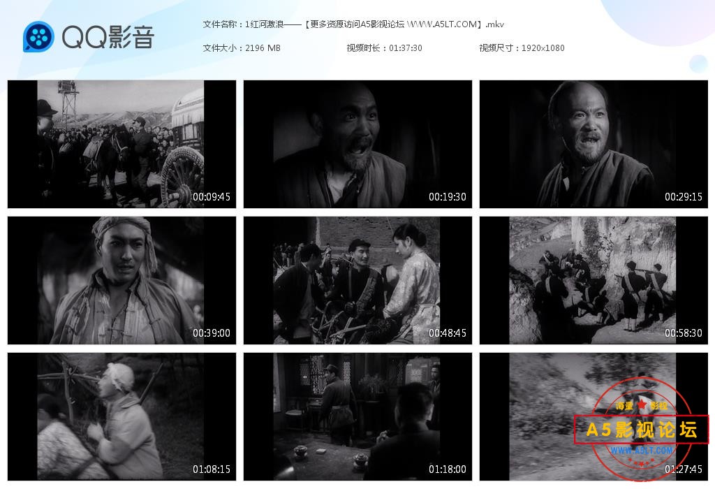 红河激浪情高清国语下载
