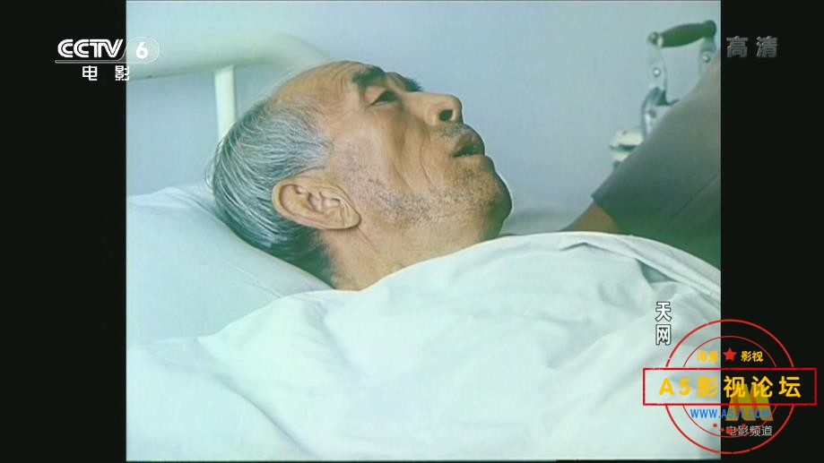 电影天网行动情粤语下载