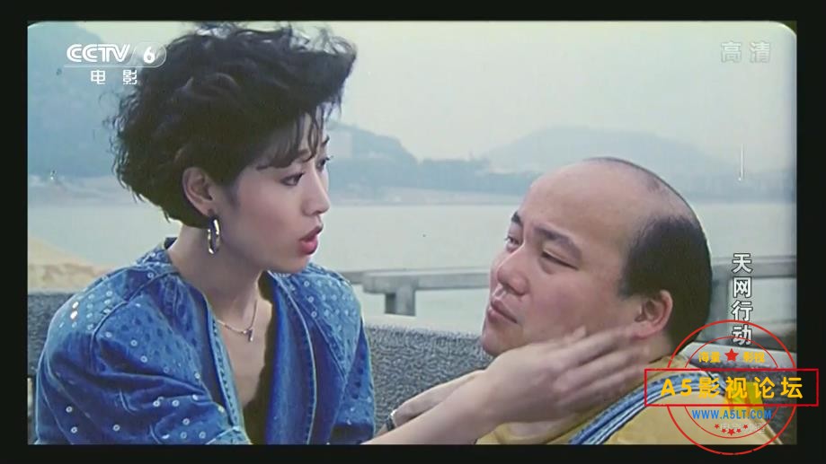 电影天网行动情粤语下载