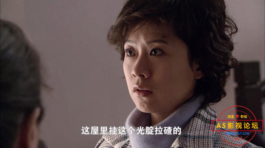 电视剧双面胶情网盘下载