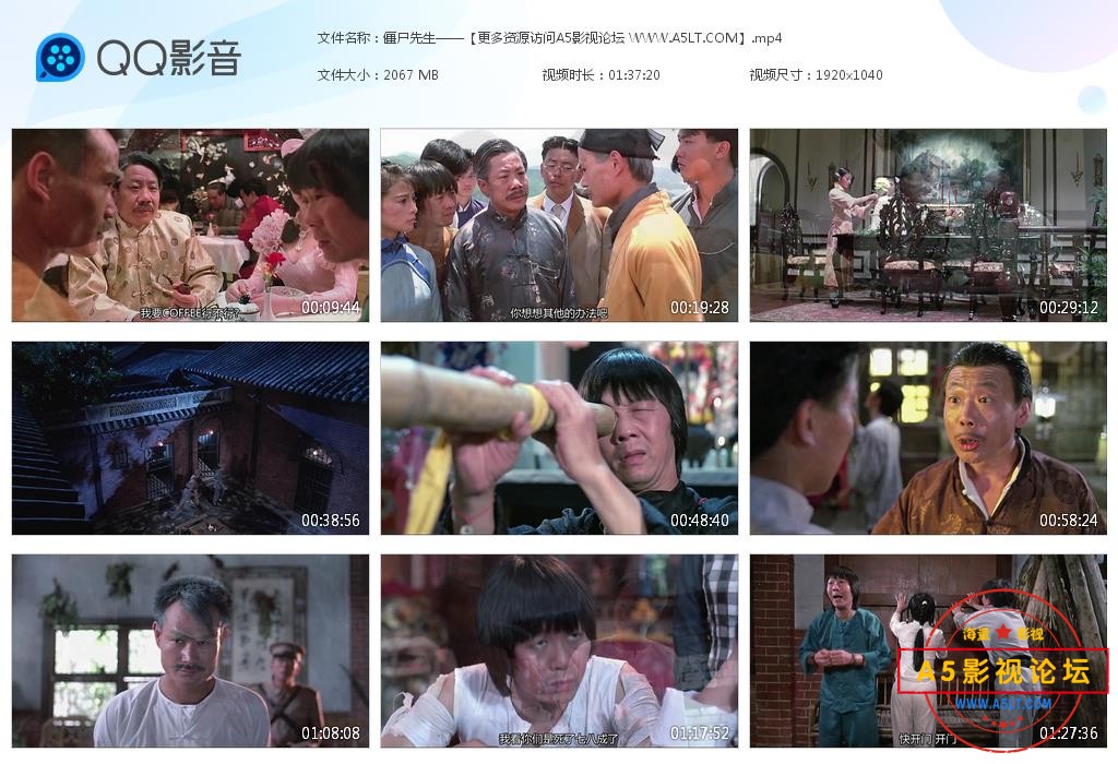 僵尸先生情高清下载