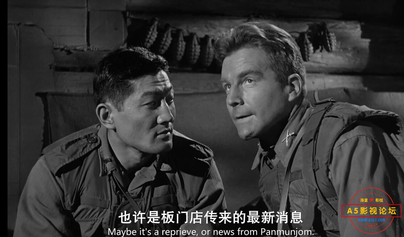  电影猪排山情网盘下载