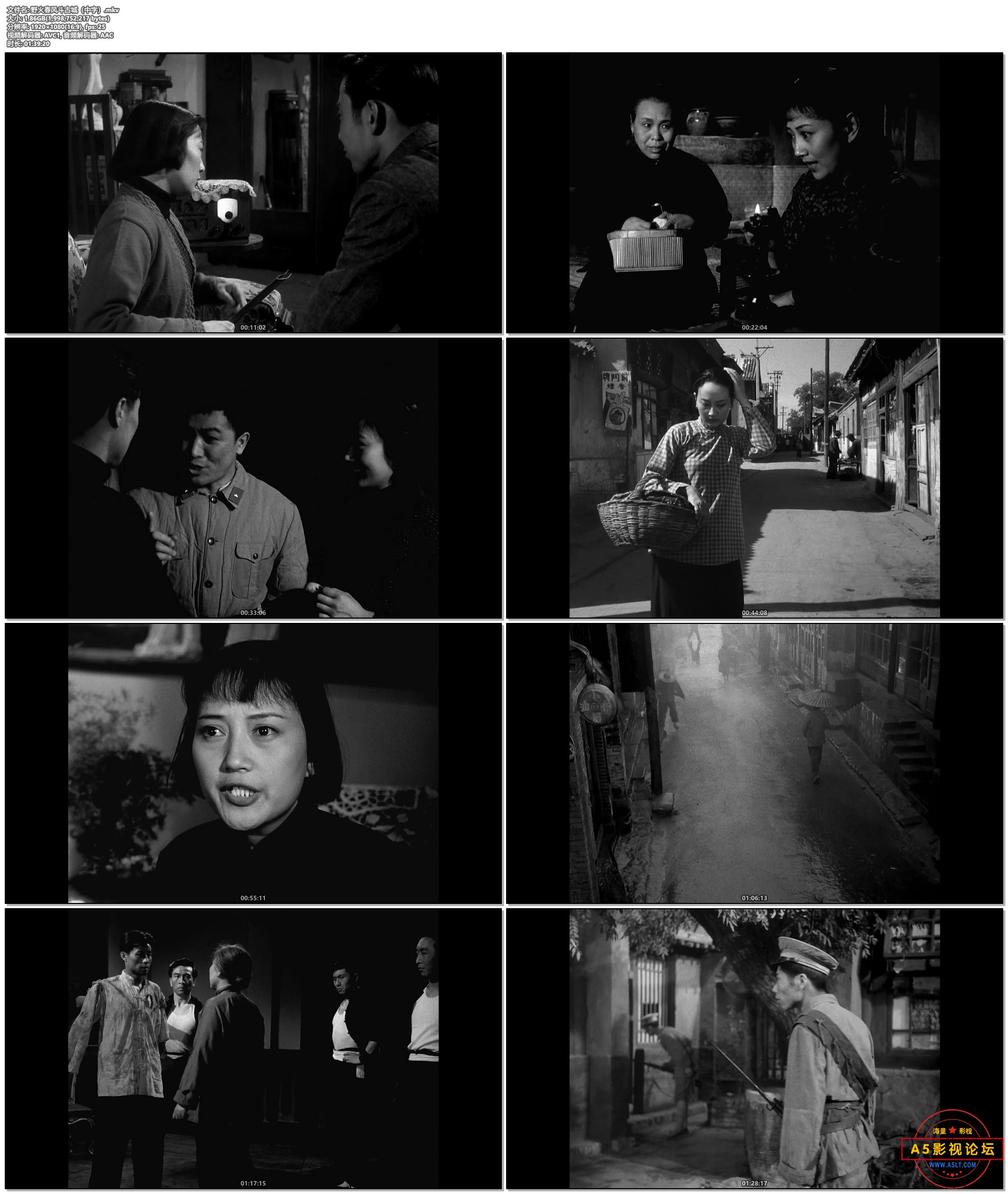 野火春风斗古城（中字）.mkv.jpg