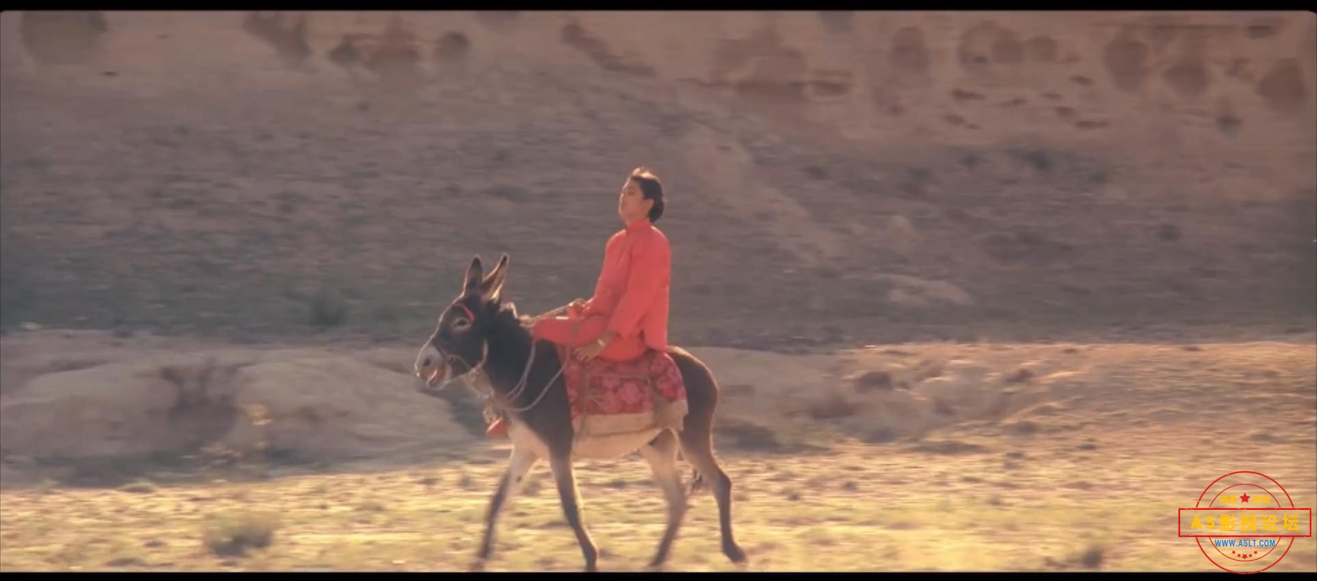 红高粱 (1988).mp4_20230303_135907626.jpg