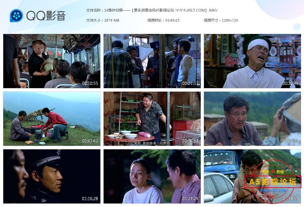 电影落叶归根网盘