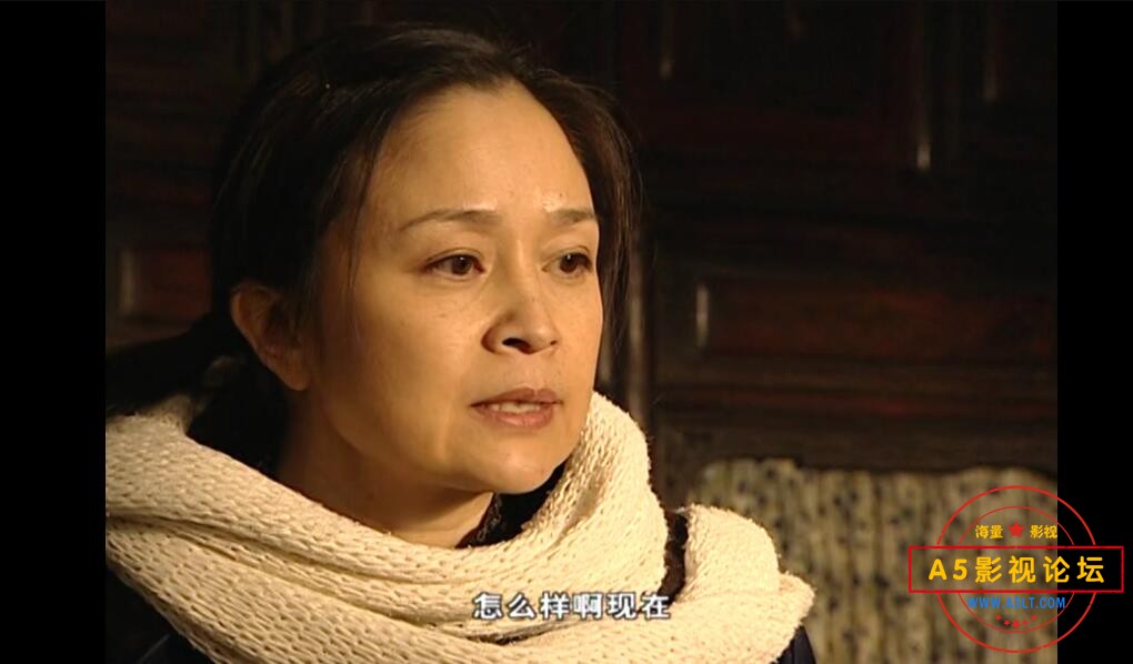 电视剧家有九凤迅雷云盘下载