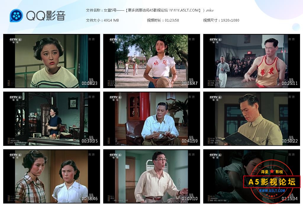 电影女篮5号下载