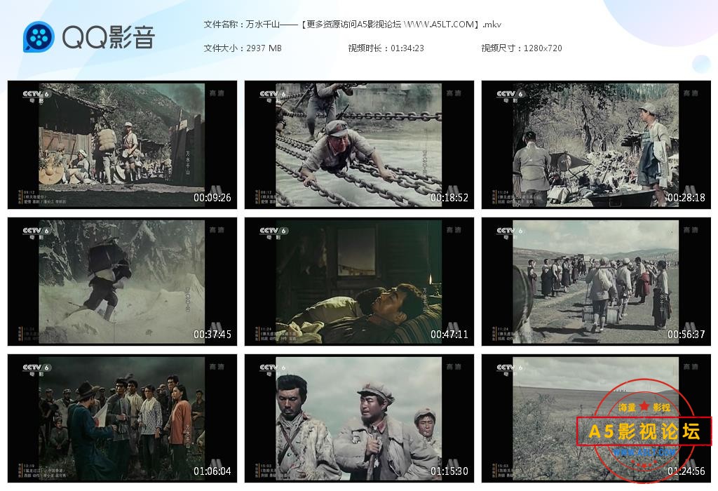 万水千山迅雷云盘下载