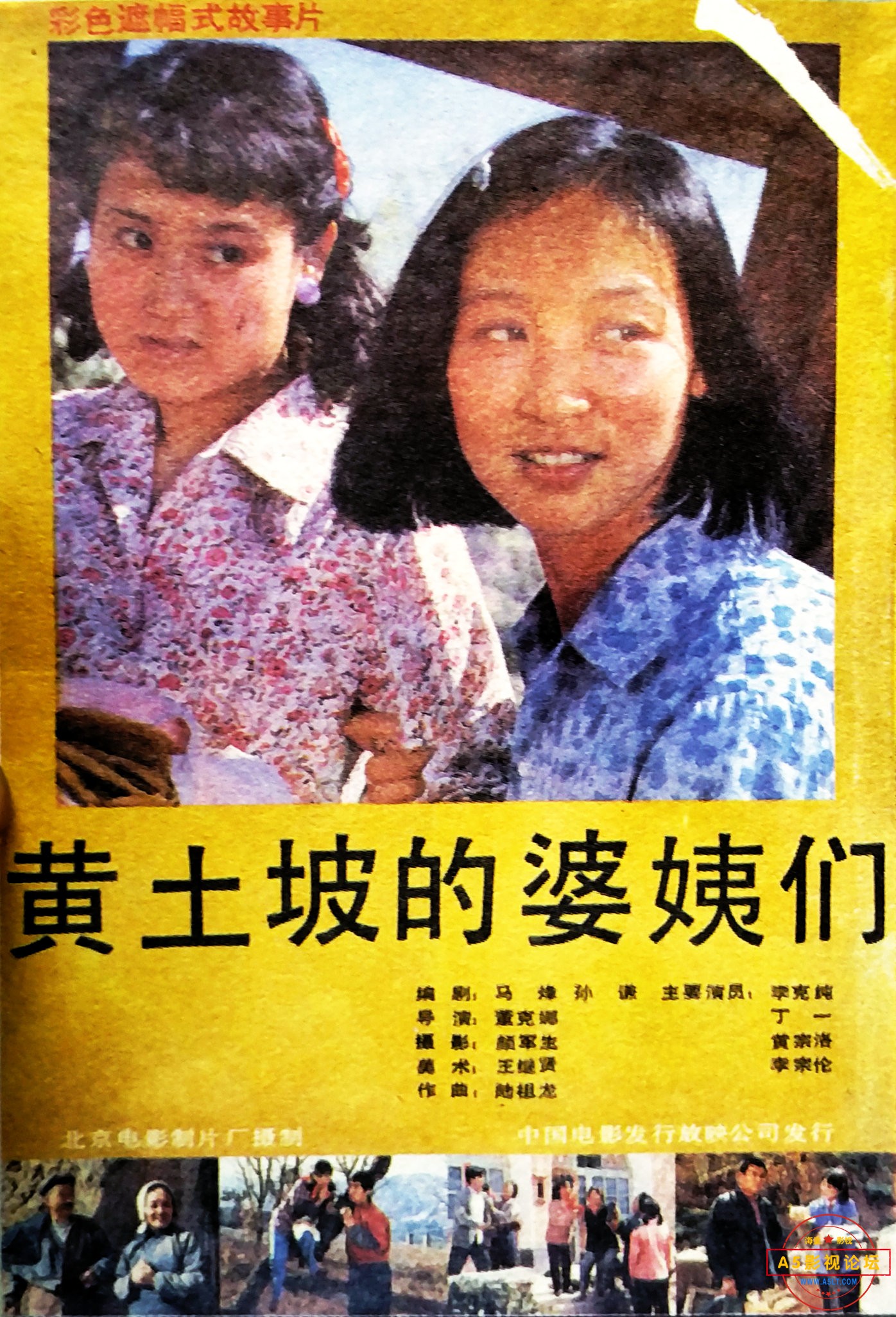 p2538646361.jpg