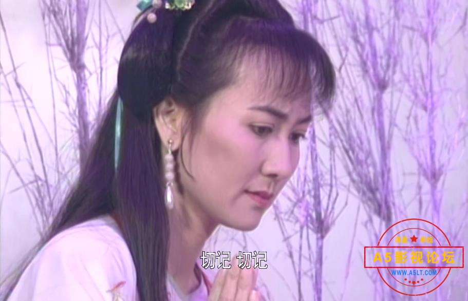 新白娘子传 (1).jpg