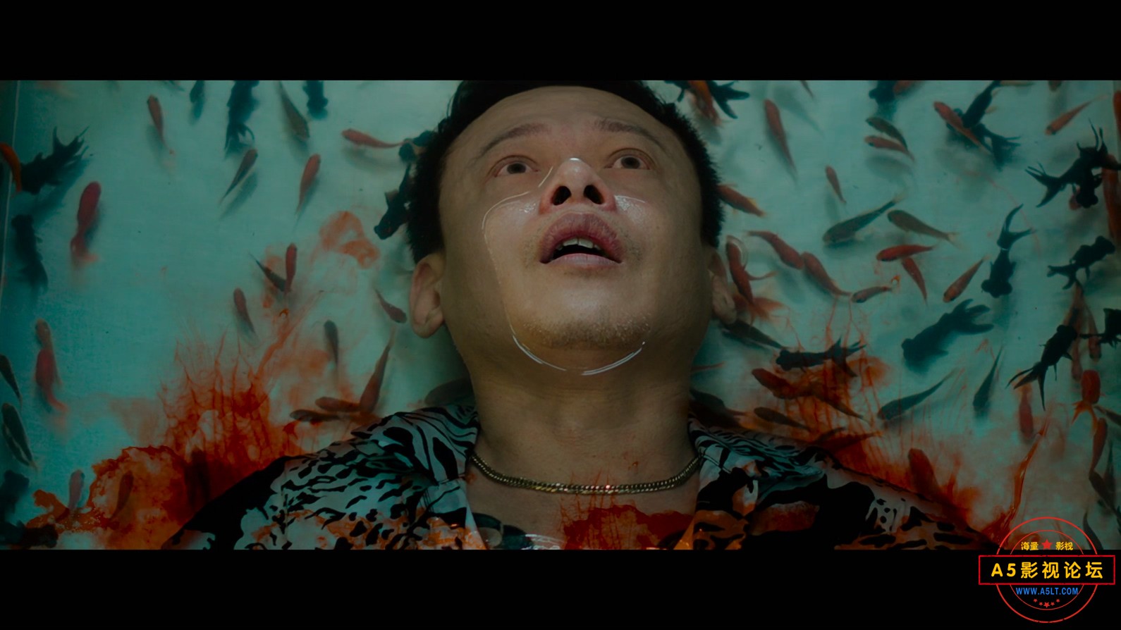 Lost.in.the.Forest.2023.2160p.FriDay.WEB-DL.H265.AAC-WEB.mkv_20230819_212941.679.jpg