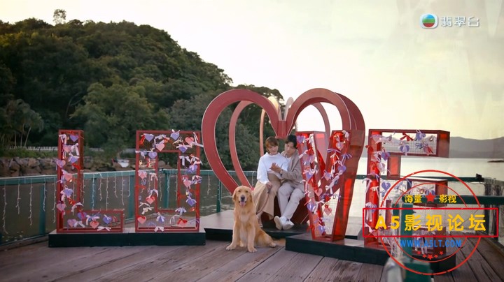 TVBOXNOW 寵愛Pet Pet EP20_H265.mkv_20230826_143046.480.jpg