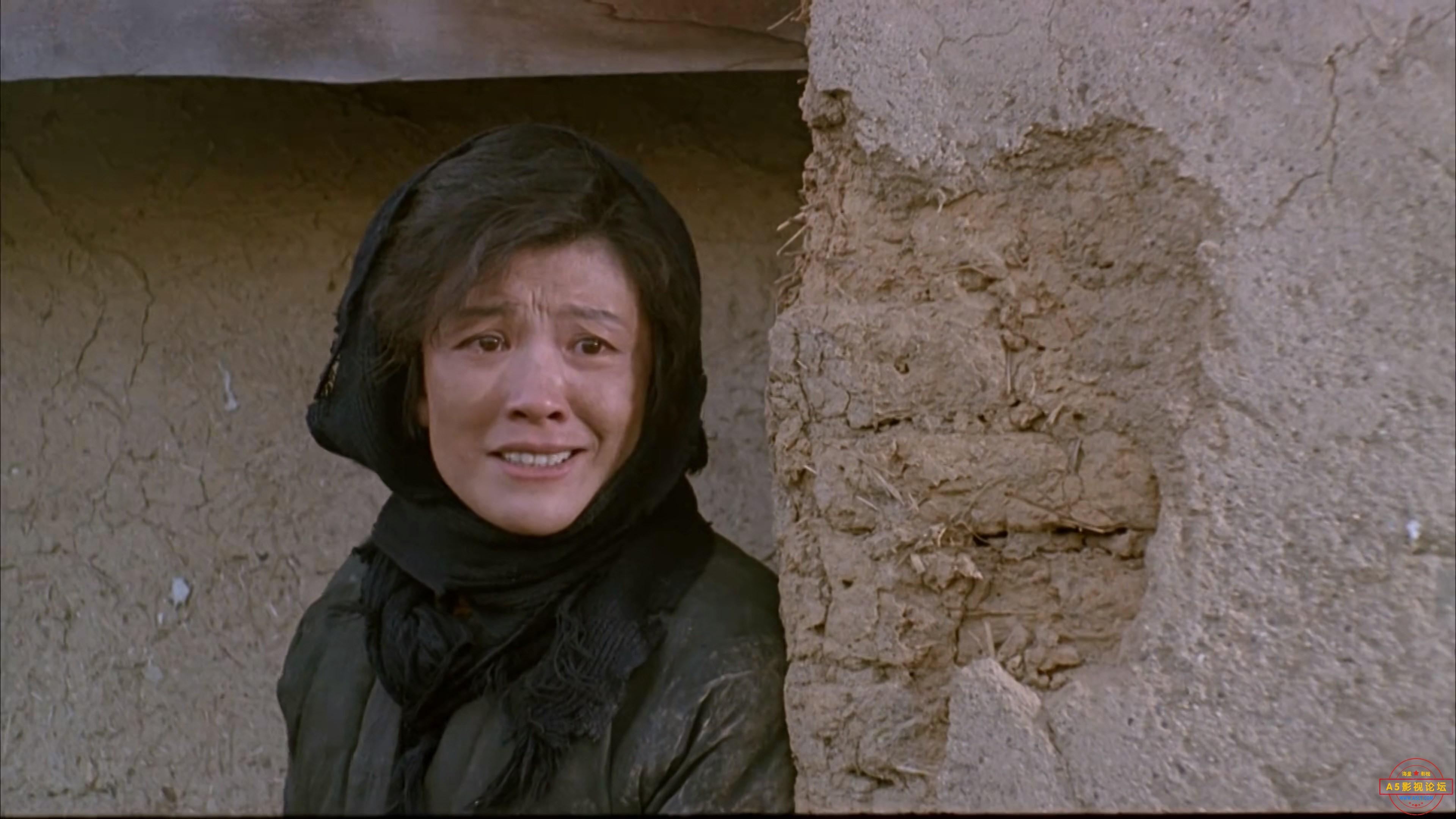 九香.1994.mkv_snapshot_01.10.50.601.jpg