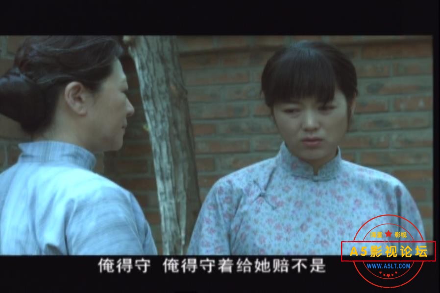 电视剧南下南下网盘下载