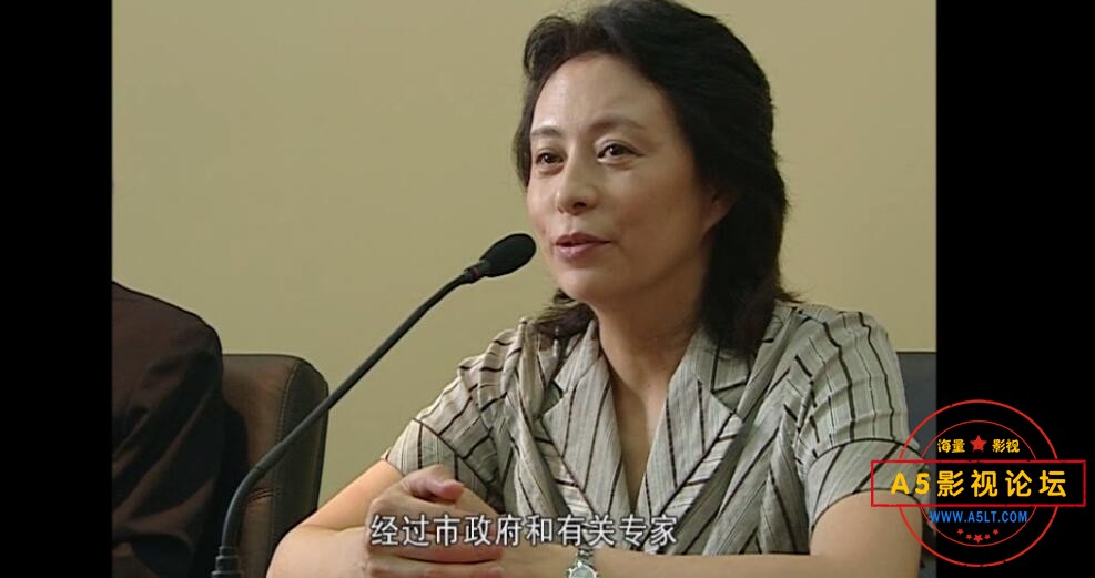 市委书记日志高清下载