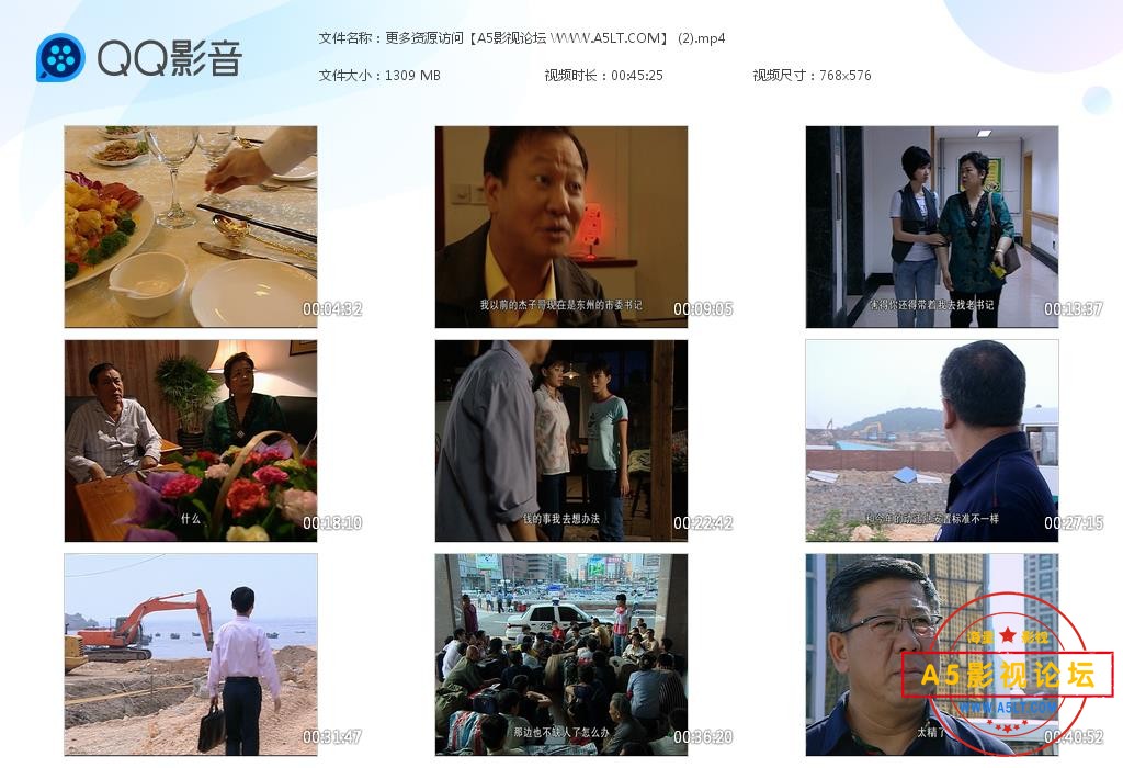 电视剧市委书记日志迅雷云盘下载