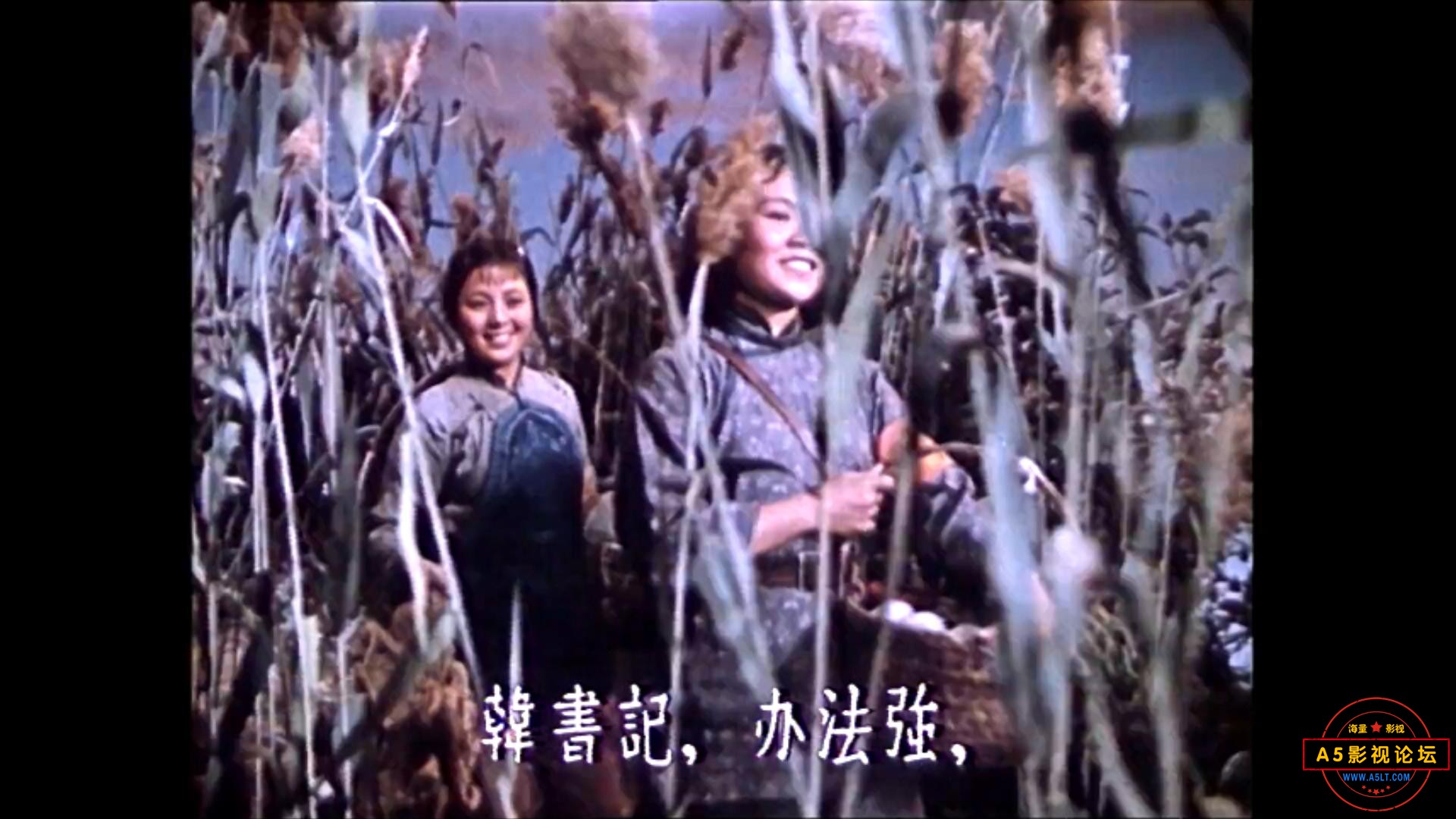 洪湖赤卫队 1961.mp4_20231019_182125102.jpg