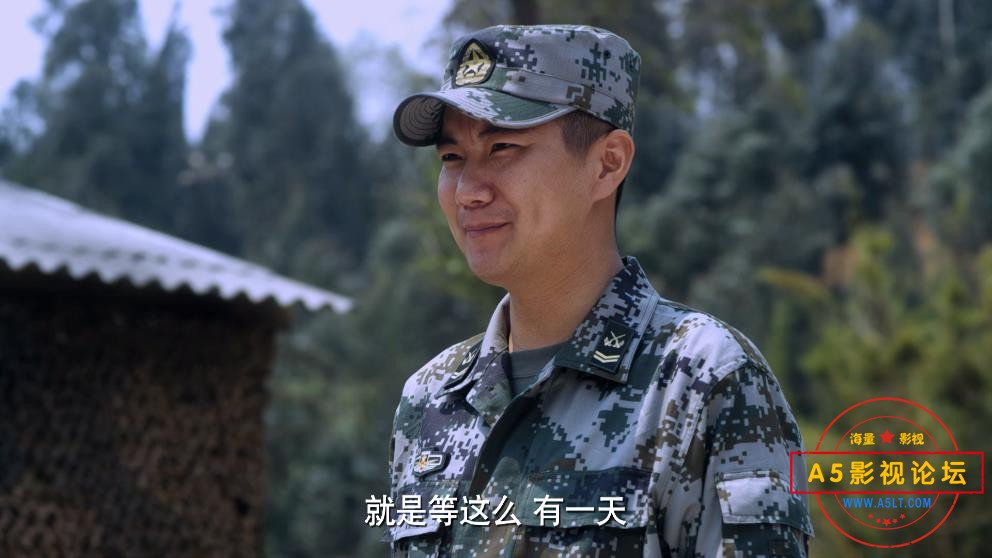 麻辣女兵百度网盘下载