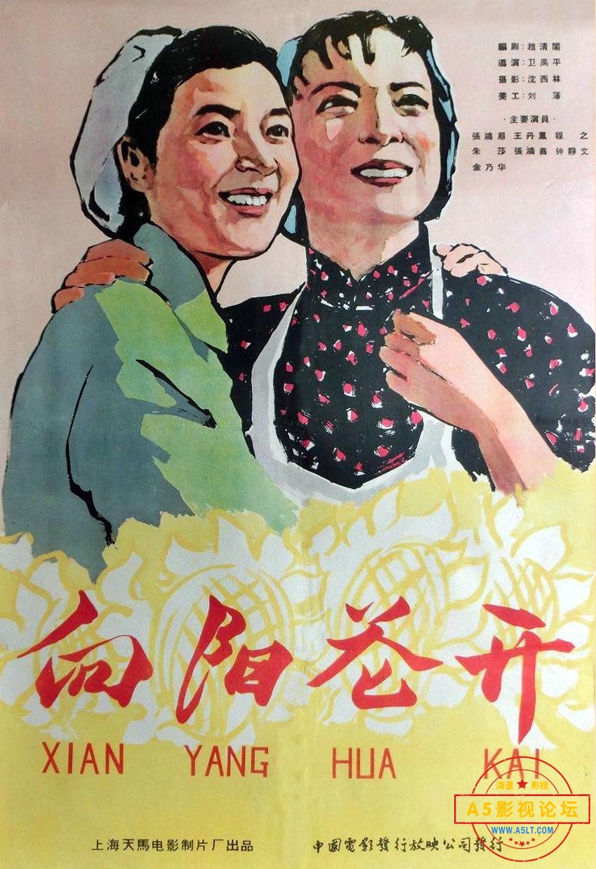 p2582426000.jpg