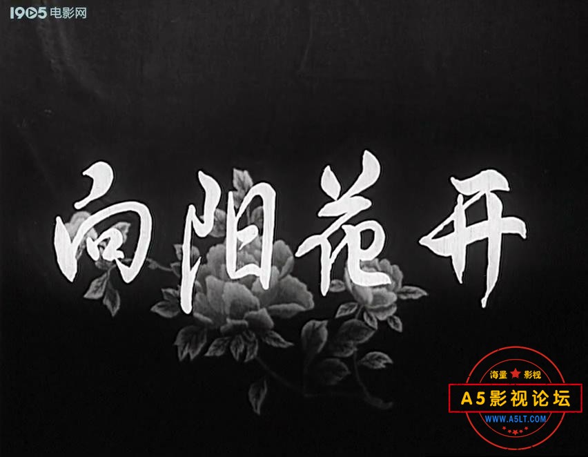 向阳花开（1960）.mp4_20231025_222310721.jpg