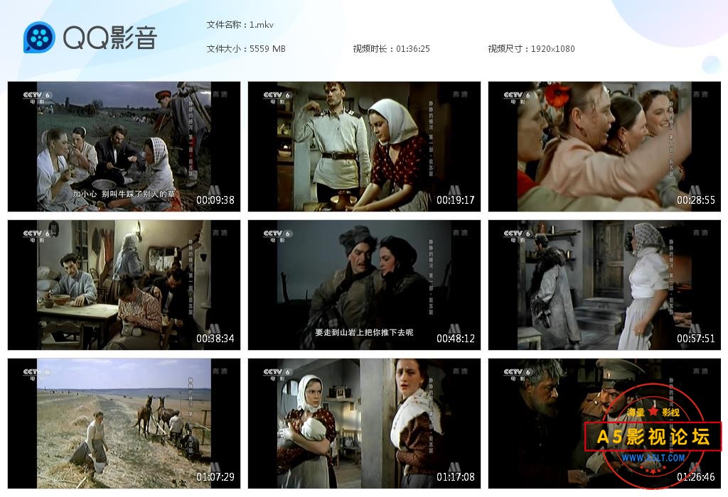 电影静静的顿河下载
