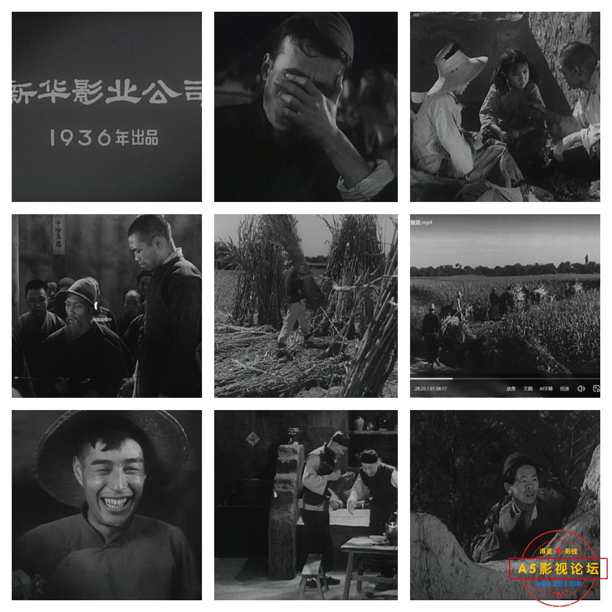 未命名_副本.jpg