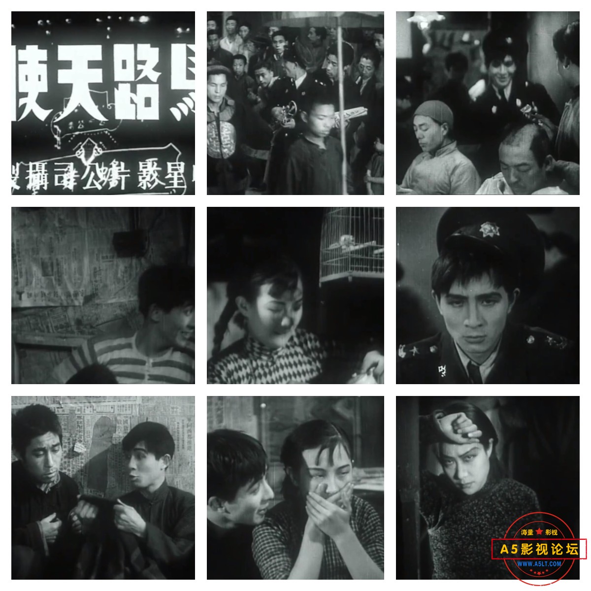 未命名_副本.jpg