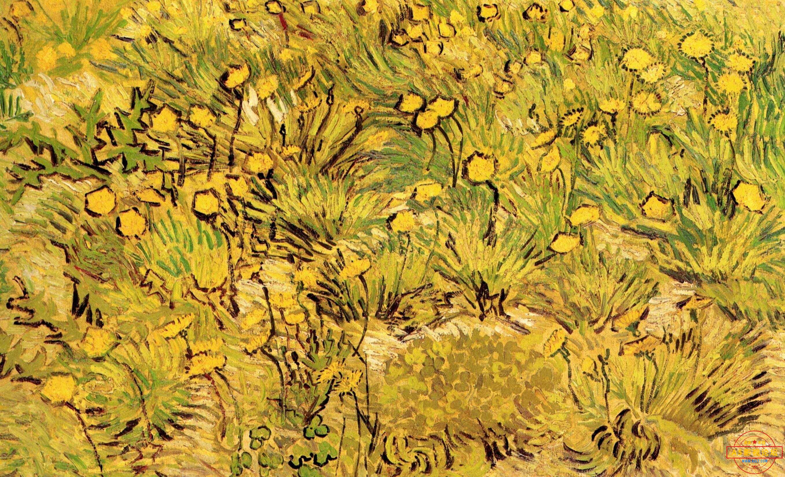 A Field of Yellow Flowers.jpg