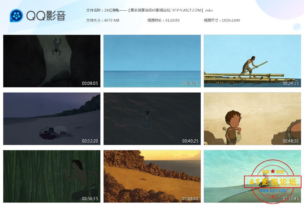 红海龟下载