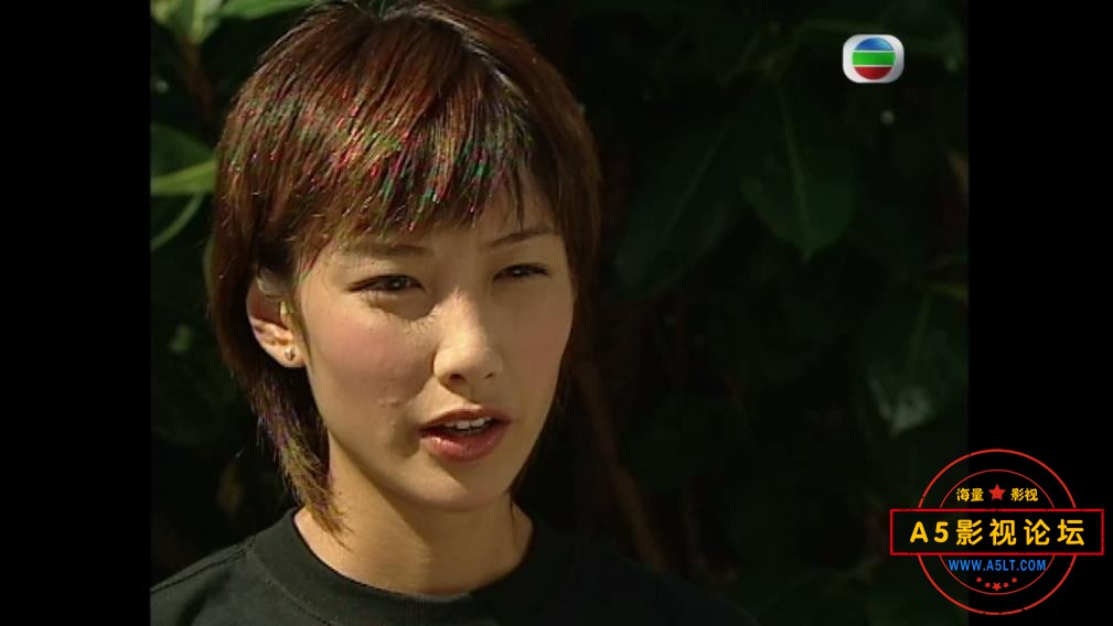 TVB剧恋爱自由式粤语下载