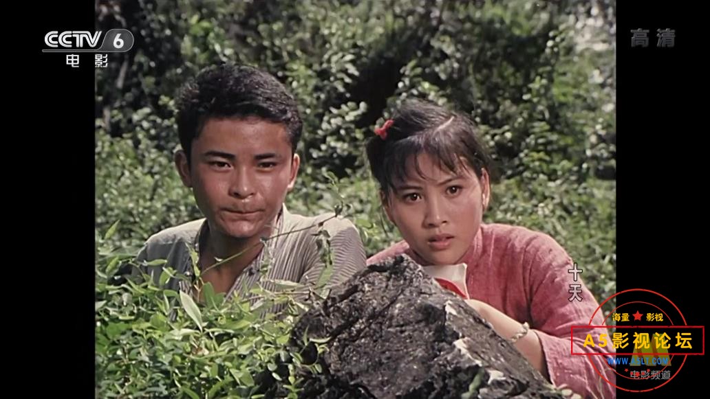 电影十天下载,