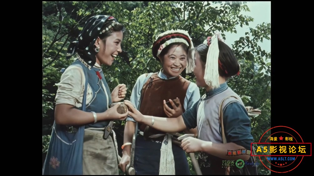 五朵金花下载