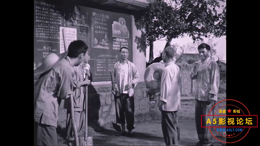 李双双迅雷下载
