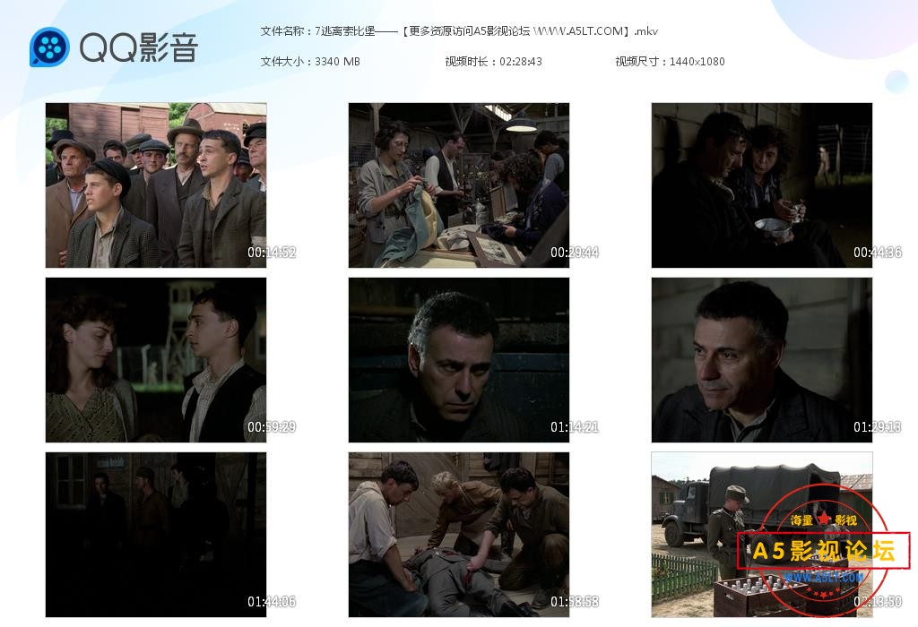 逃离索比堡高清下载