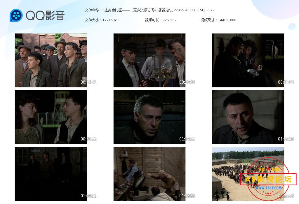 逃离索比堡高清下载