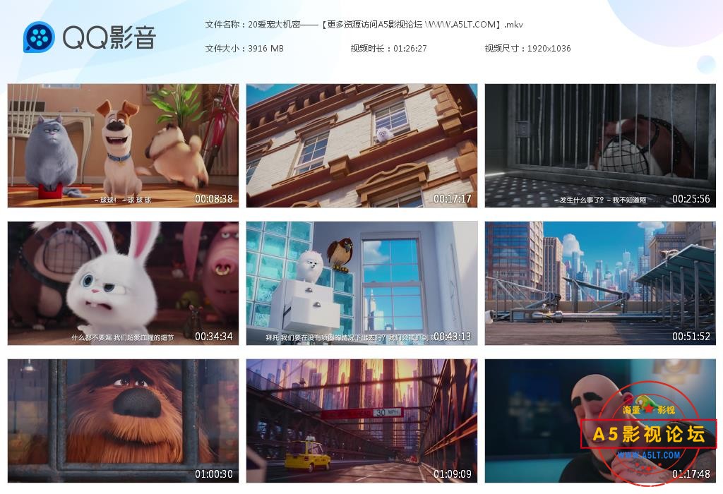 爱宠大机密下载
